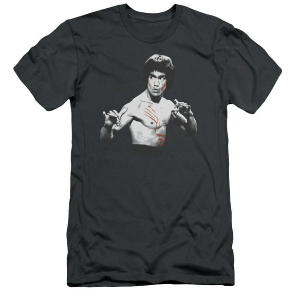 Bruce Lee Final Confrontation S/S Adult 30/1 T-Shirt Charcoal
