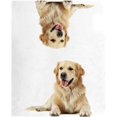 thumbnail image 4 of Coolnut Mailbox Covers Magnetic Oversize Satisfied Golden Retriever Seasonal Mail Wraps for Home Outdoor Decor, 25.4"x20.78", 4 of 5
