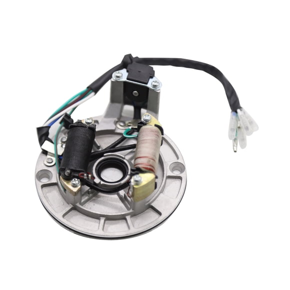 Riwcyla Magneto Stator for 49cc 50cc 70cc 90cc 110cc 125cc Kick Start Dirt Bike Horizontal Engine , ideal for outdoor riding, mountain biking, road cycling, sports training & weekend adventures