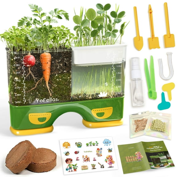 Kids Root Viewer STEM Science Kit – Grow & Observe Plants, Screen-Free Educational Toy for Kids 6-12