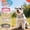 Gray, variant on Pet Artist Personalized Dog Collar Glossy PU Leather with Rose Gold Name Letter and Charm,Adjustable Pet Collars for Extra Small Dogs,Gold,XS