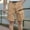 Khaki, variant on Gspmoly Men'S Shorts, Men'S Summer Casual Solid Fashion Pockets Elastic Waist Zipper Comfortable Shorts Cargo Pant Running Shorts for Men Clearance Khaki S