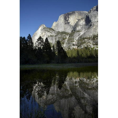 - North West Face of Half Dome, Mirror Lake, Yosemite NP, California Print Wall Art By David Wall