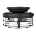thumbnail image 3 of Progress Lighting Springer II 2-Light Ceiling Light, Matte Black, Open Cage, Antique Nickel Finish, Damp Rated, LED, 2700K, 3 of 9