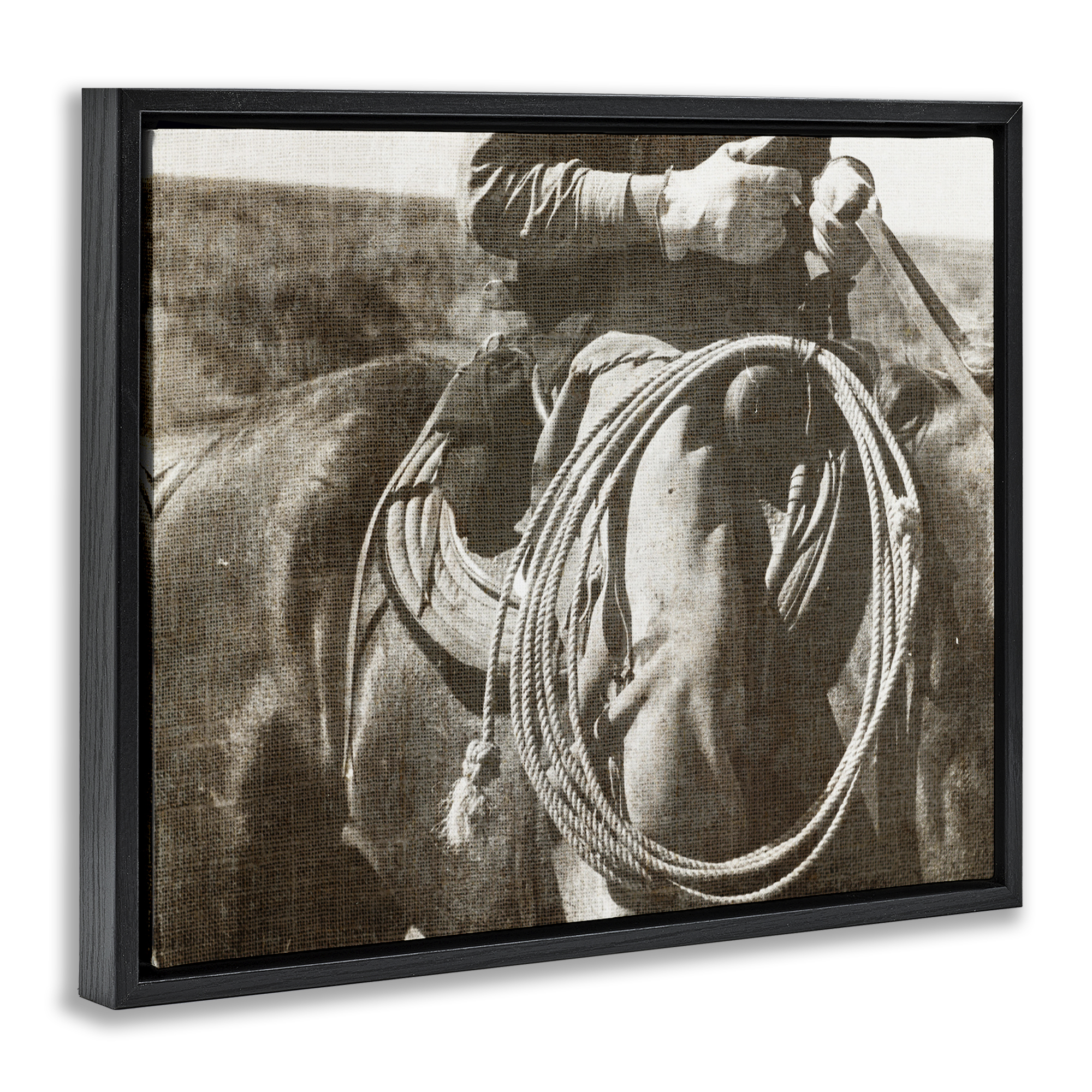 Stupell Industries Cowboy with Lasso Novelty Photography Black Floater Framed Art Print Wall Art, 31 x 25