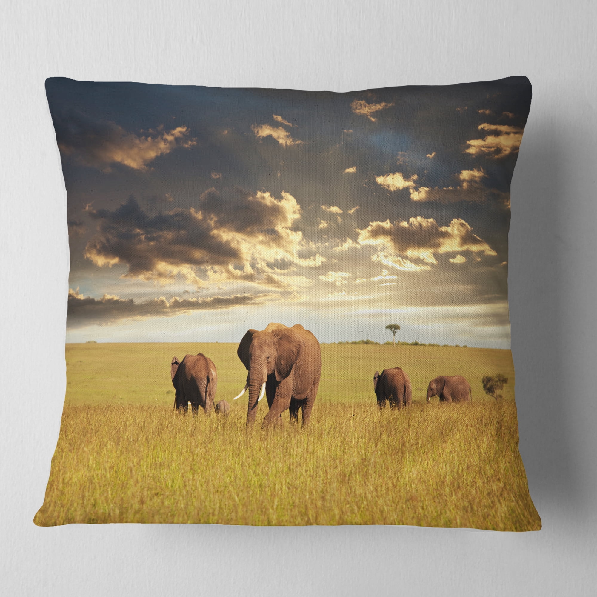 Designart Group of Elephants in Africa - African Throw Pillow - 18x18