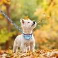 thumbnail image 4 of Conjunto de cuello y correa a cuadros con estampado de huellas bordadas EXPAWLORER, 4 of 5