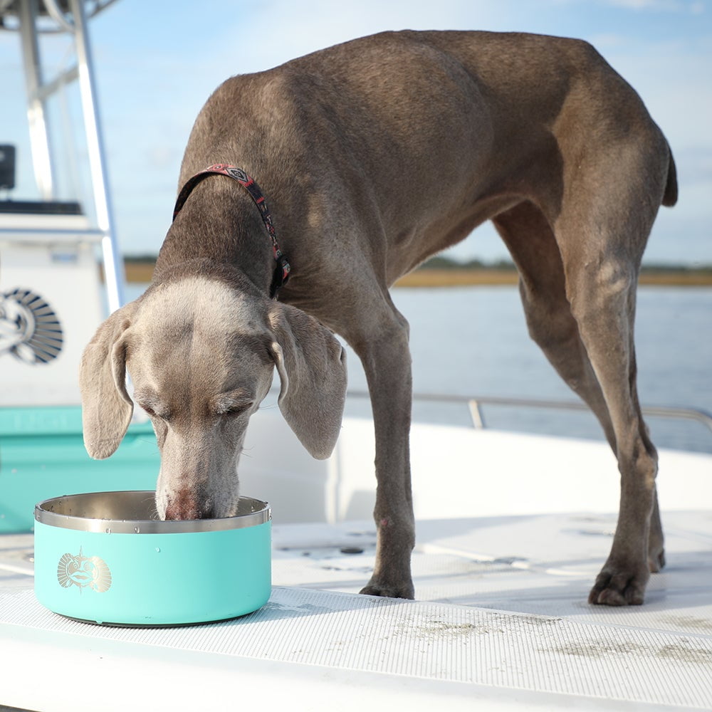 Pet Supplies : YETI Boomer 8, Stainless Steel, Non-Slip Dog Bowl, Holds 64  Ounces, Seafoam 