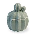 thumbnail image 1 of Boston International AGC18347 Pot de Cactus Décoration de la Maison, 1 of 1