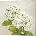 thumbnail image 4 of Hydrangeas Neutre by Remy Dellal Canvas Art Set of 2 14 inch X 14 inch Each, 4 of 4