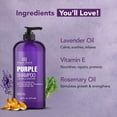 thumbnail image 5 of Botanic Hearth Purple Shampoo - for All Shades of Blonde, Silver and Gray Hair - With Lavender Oil, Vitamin E, & Rosemary Oil - Enhances Highlights - Sulfate Free, Paraben Free, 16 fl oz, 5 of 7