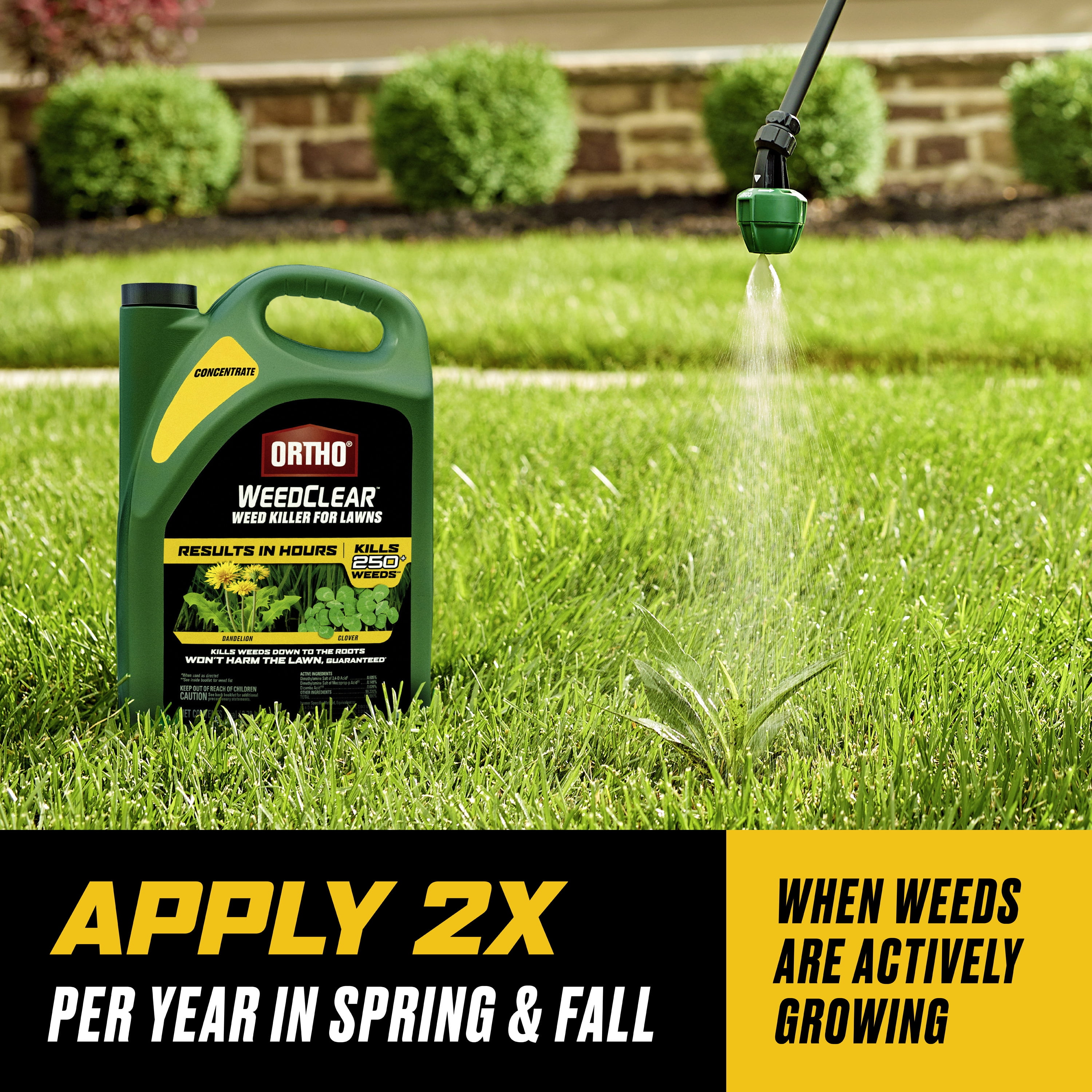 Ortho WeedClear Weed Killer for Lawns Concentrate, 1 gal.