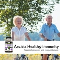 thumbnail image 3 of Kaya Naturals Elderberry Immune Support | Elderberry Extract, Rich Antioxidant Premium Elderberry Vitamins, 1200mg Immune System Booster Sambucus Elderberry Capsules - 30 Count, 3 of 5