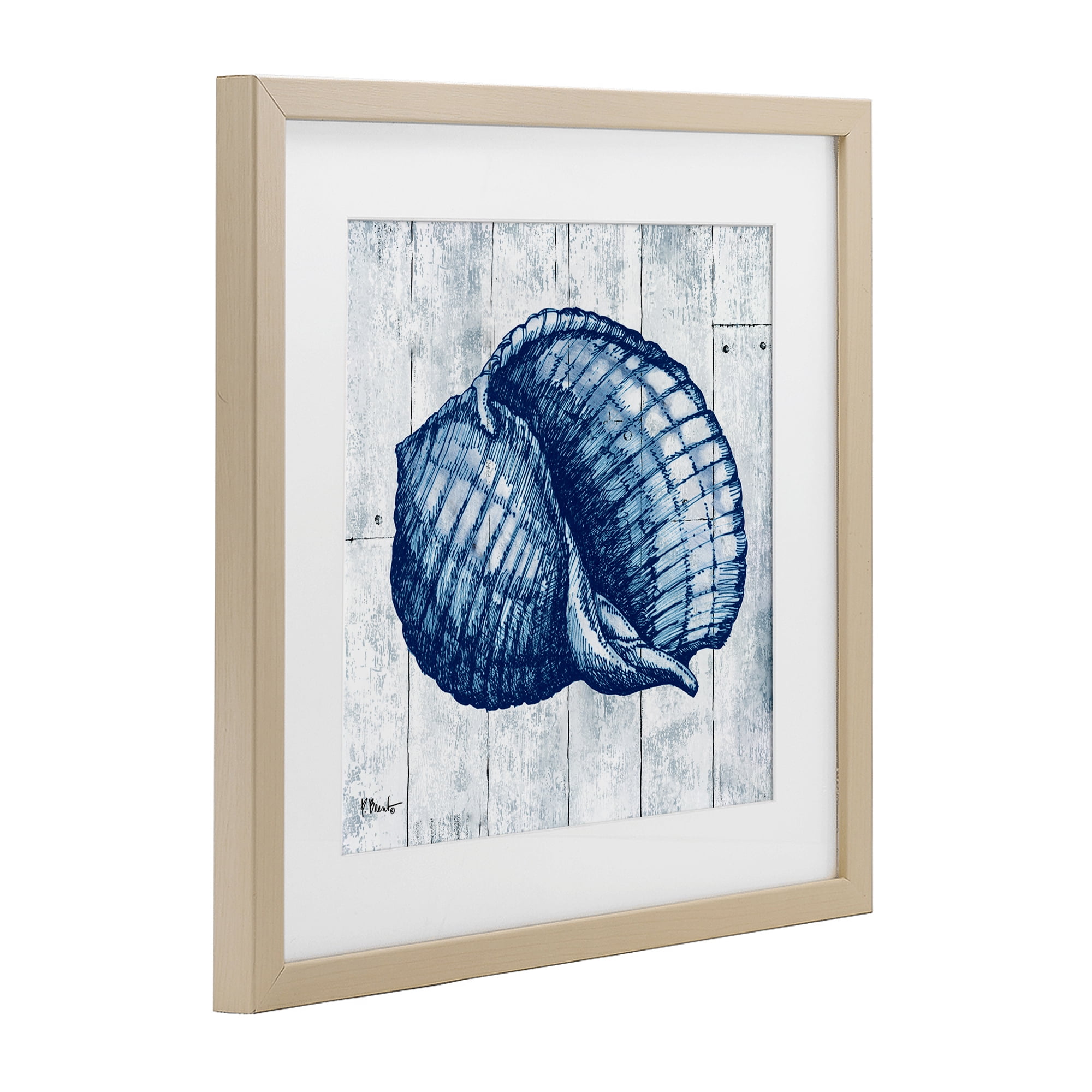 Stupell Industries Coastal Timberland Shell Birch Framed Print Under Glass, design by Paul Brent