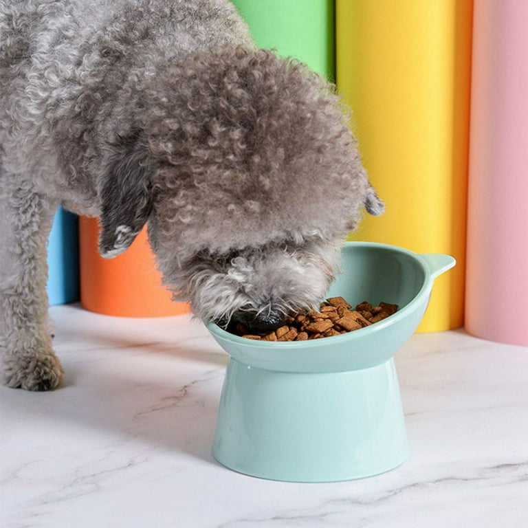 Shallow dog on sale food bowl