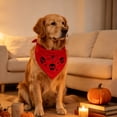 thumbnail image 6 of Halloween Pet Bandana with Skull and Spider Web Print, Dog Neck Scarf Holiday Party Costume Photography Decoration, Polyester, Red, 1 Count, 6 of 6
