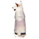 thumbnail image 1 of Balery Glitter Light Pearl Sudadera con Capucha para Perros Pequeños – Ropa para Mascotas, Disfraz para Perros y Gatos, Ideal para Fiestas y Cosplay-X-Large, 1 of 7