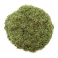 thumbnail image 2 of Modelo de Césped Artificial Terreno en Polvo Miniatura Yotijar 320 ml Verde Marchito, 2 of 8