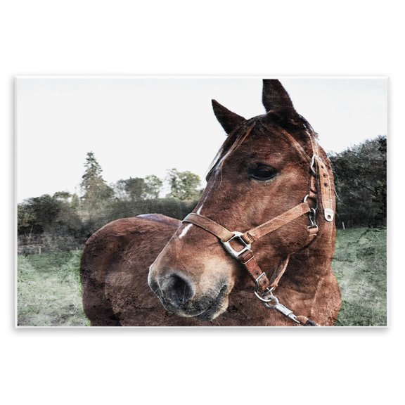 Stupell Industries Rustic Lodge Horse Posing In Field Wall Plaque Art, 15 x 10, by Milli Villa