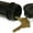 Black Sprinkler, variant on Sprinkler Key Hider, Black