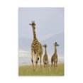 thumbnail image 2 of Gango Home Decor Savannah Strut by Susann Parker (Printed on Paper); One 24x36in Fine Art Paper Giclee Print, 2 of 4