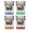 Multicolor (4-Pack), variant on Bend Oregon Vintage Design Souvenir 2 oz Square Shot Glass – Green