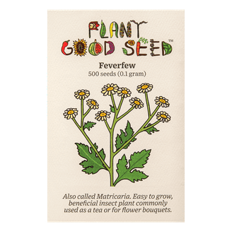 tobacco seeds for sale near me GOLDEN BURLEY *FREE Shipping* Fresh & Organic Nicotiana Tabacum, Burley, Kentucky Tobacco, Virginia Tobacco - Plant Seeds Bulk this plant is a traveler Tobacco Seeds - Tennessee Red