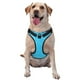 thumbnail image 1 of Fotbe Sky Blue Glitter Arnés para Perro con Estampado –Chaleco Ajustable Acolchado con Asa de Control para Perros Grandes-Large, 1 of 6