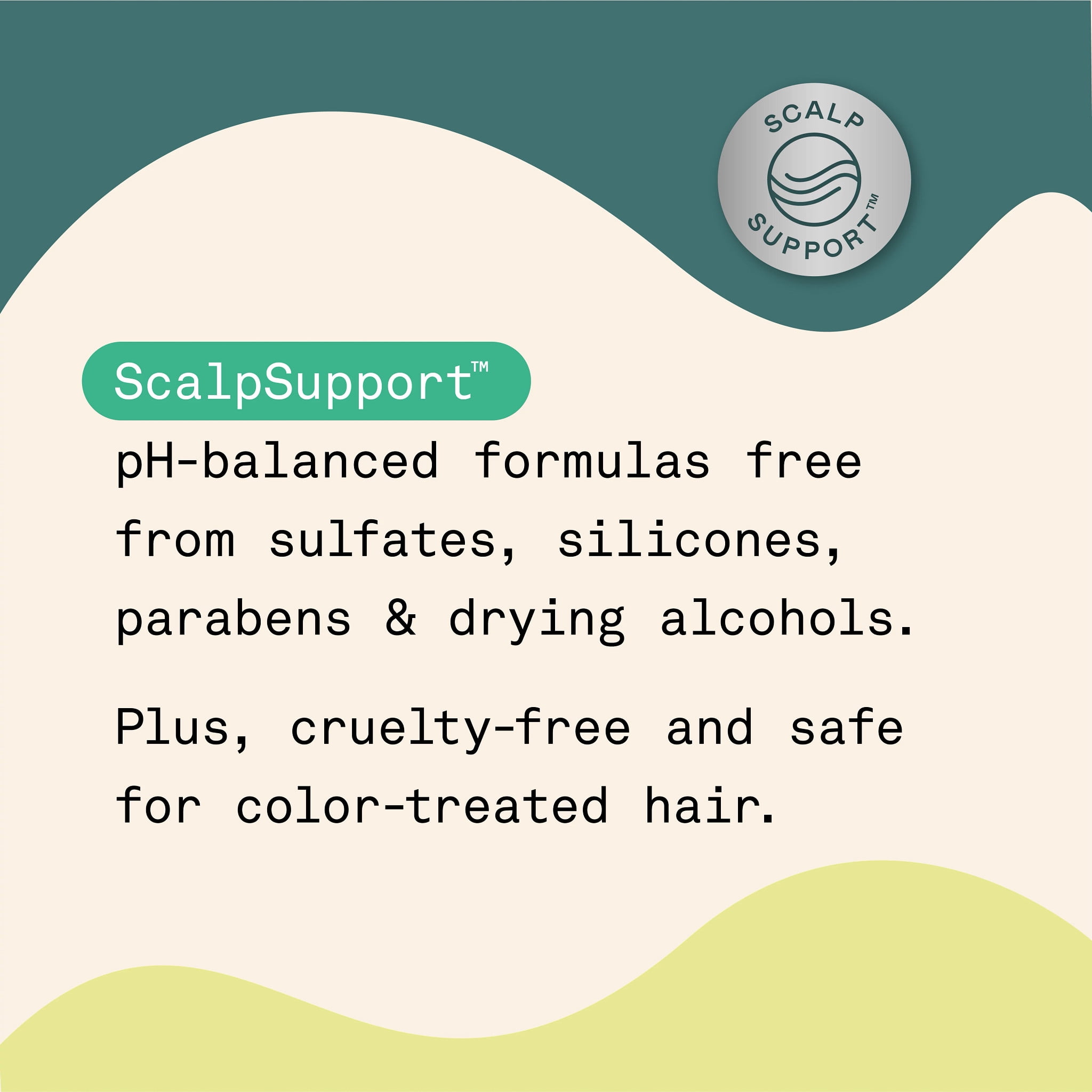 Headquarters Oil-Away Shampoo for Oily Scalp and Hair, 12 fl oz