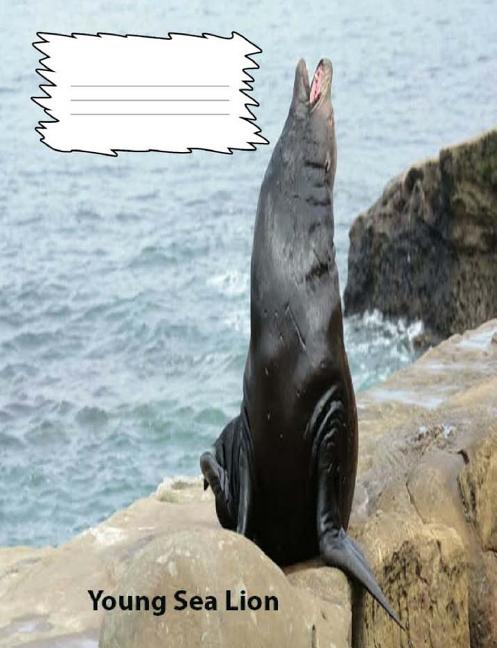 Sea lion essay picture