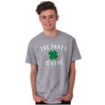 thumbnail image 4 of St Patricks Day The Party Is Here Men's Graphic T Shirt Tees Brisco Brands S, 4 of 5