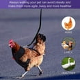 thumbnail image 5 of cpengpj Chicken Harness with Leash, Upgraded Double Adjustment Harness and Leash Set for Hens, Duck, Goose, Small Pet, 5 of 5