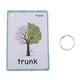 thumbnail image 3 of Set De 23 s De Pabras De s Primeras Pabras Juego Educativo Educativo Actividad De s Divertidas, árboles Árboles - 23 piezas Sunnimix tarjetas flash de palabras, 3 of 8