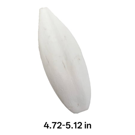 ACDANC 2026 New Bird Cage Accessories Oral Health Bird Perch Trim Teeth Cockatiel Toys for Parrot Canary Finch Size3