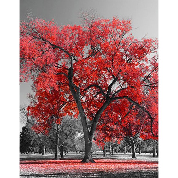 Diamond Drill Maple 5D DIY Painting Kits Full Round Wall Art Decor (sz2845) Rojo FLhrweasw Nuevo