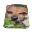 thumbnail image 2 of CADecor The Dogs in The Chrysanthemum Bushes Fleece Throw Blanket 58x80 inches, 2 of 3