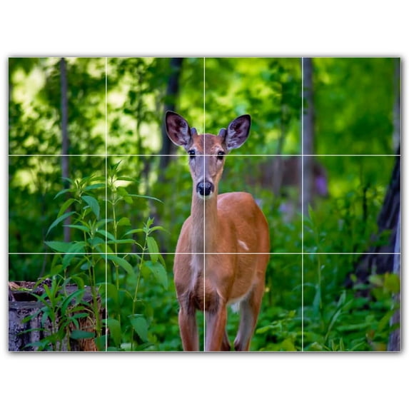 Picture-Tiles.com: Deer Ceramic Tile Wall Mural WAL500438-43M. 24"W x 18"H using (12) 6" x 6" Ceramic Tiles-Satin Finish