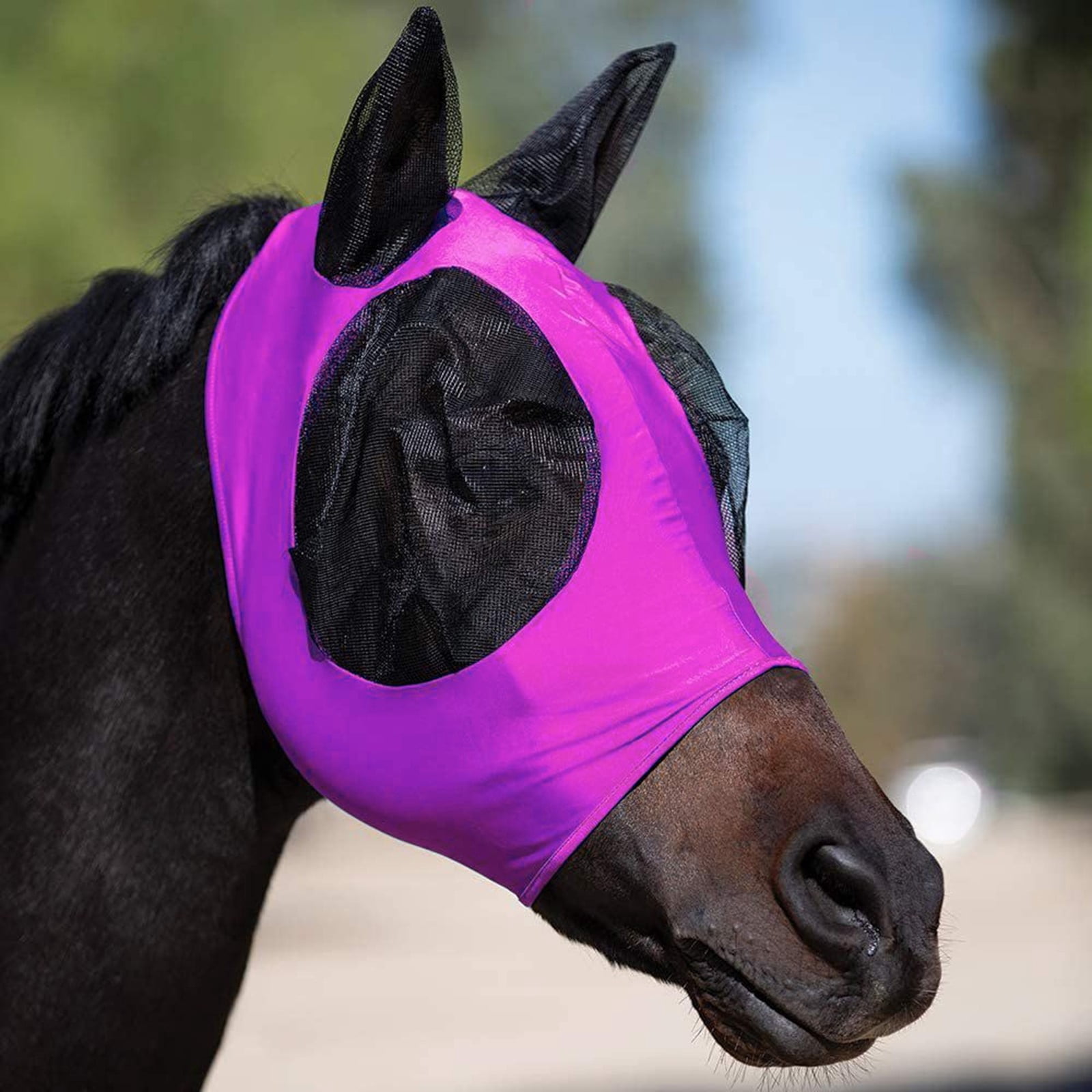 Masque Anti-Mouches Pour Cheval - Protection UV Oreilles Et Nez - Bleu - Élasticité Confort