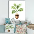 thumbnail image 2 of Designart 'Palm Plant In Clay Flowerpot' Traditional Framed Canvas Wall Art Print, 2 of 5
