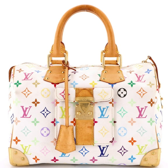 Pre-Owned Speedy Handbag Monogram Multicolor 30 By Rebag