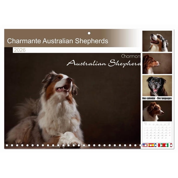 Charmante Australian Shepherds (Monthly Wall Calendar 2026 11.7 x 16.5 (open)), CALVENDO 14 Month Calendar