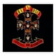thumbnail image 1 of Guns N Roses - Appetite For Destruction - Disco Cd Universal Guns N Roses - Appetite For Destruction - Disco Cd, 1 of 1