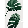 thumbnail image 2 of Artographie Studio 13x18 Black Ornate Wood Framed with Double Matting Museum Art Print Titled - Monstera Natural 46, 2 of 4