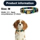 thumbnail image 2 of Collar de perro personalizado con nombre grabado y número de teléfono para cachorros, mascotas pequeñas, medianas y grandes, 2 of 5