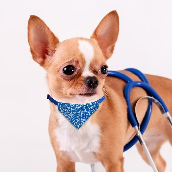 Bow Collar Small Dog Bandana Collar Various Fashion Design