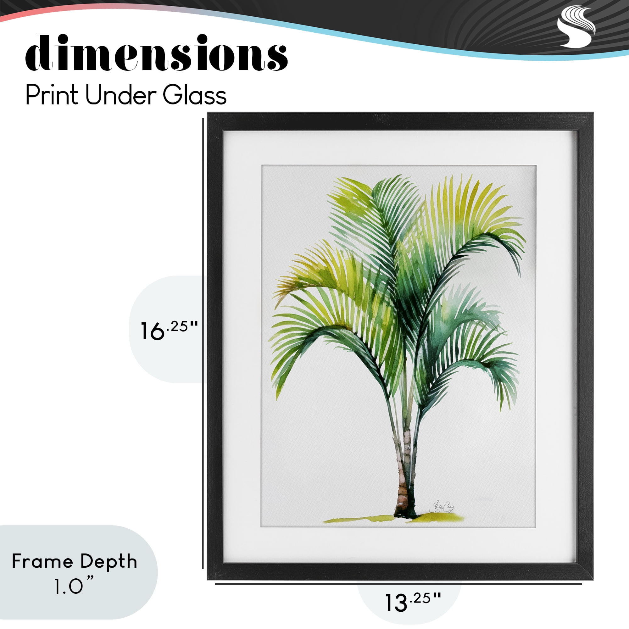 Stupell Industries Coastal Canopy Palm Tree Black Framed Print Under Glass, design by Shelly Craig