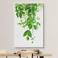 thumbnail image 3 of wall26 Canvas Print Wall Art Watercolor Vibrant Green Hanging Leaves Nature Wilderness Illustrations Modern Rustic Scenic Multicolor Colorful for Living Room, Bedroom, Office - 24"x36", 3 of 5