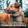 thumbnail image 6 of Embark Urban Dog Collar – Dog Collar Stylish & Durable Nylon Dog Collar for Large Dogs, Small Dogs & Medium Dogs.Comfortable Pet Collar Strong Buckles for Any Size Breed |Puppy Collars|, 6 of 8