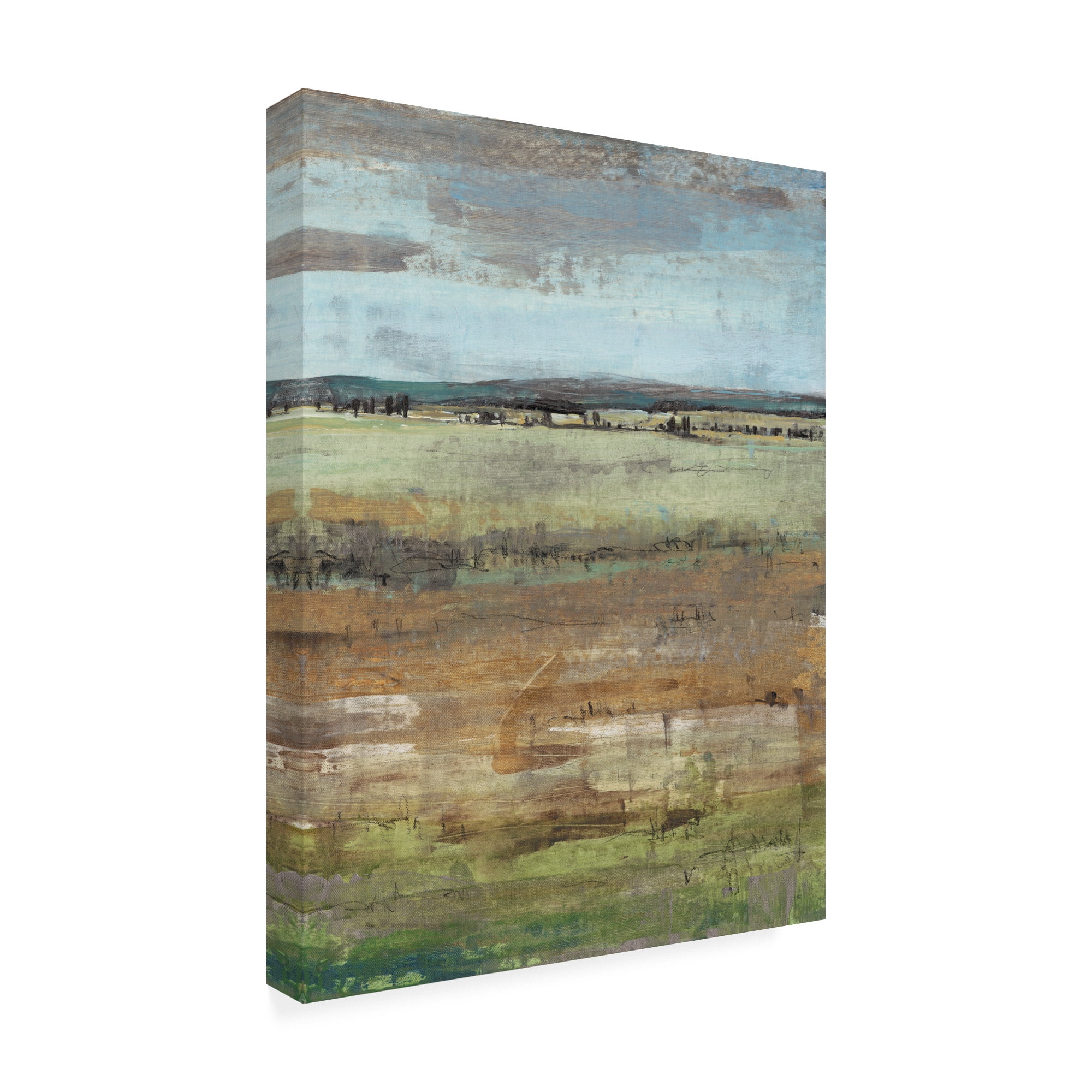 Trademark Fine Art 'Field Layers IV' Canvas Art by Tim OToole