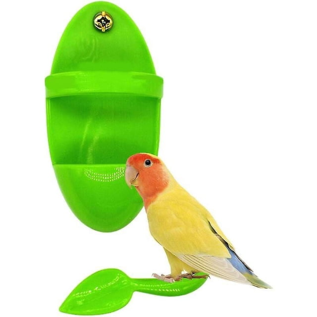 Brillar Soporte para huesos de sepia para pájaros, taza de alimentación para periquitos, accesorios para jaulas de pájaros, accesorios para jaulas de pájaros, almacenamiento de frutas y verd